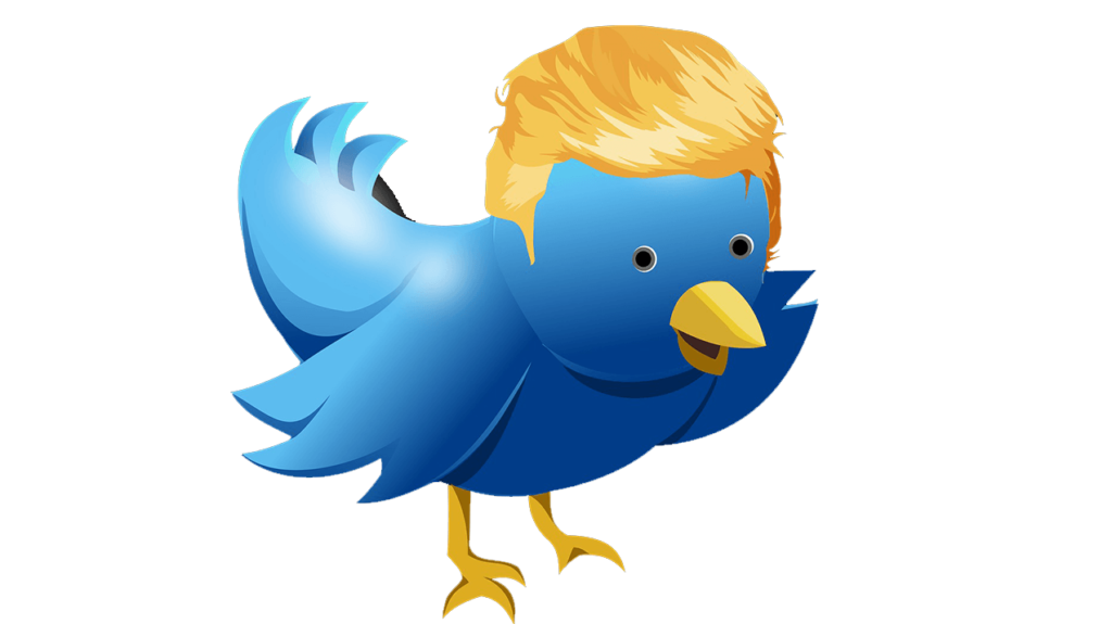 persoperm Blog Twitter Trump